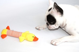 Brinquedo Animals Friends (Pato) - Image 3