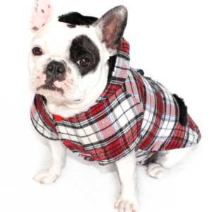 Fashion Coat - Image 8