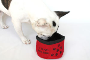 Comedouro Travel Bowl - Image 2