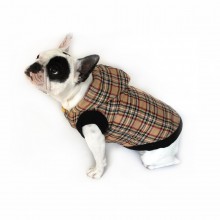Hot Jacket