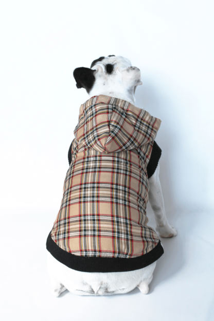 Hot Jacket - Image 2