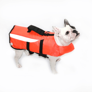 Life jacket
