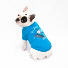 Dog Surfer