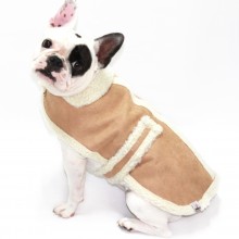 Snow Vest