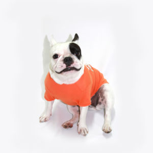 Dog´n Roll - Image 5