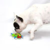 Brinquedo Mr. Frog - Imagem 3