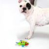 Brinquedo Mr. Frog - Imagem 4
