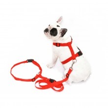 Harness Run