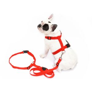 Harness Run + ID - Image 3
