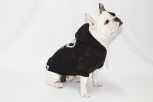 Princess - Image 3