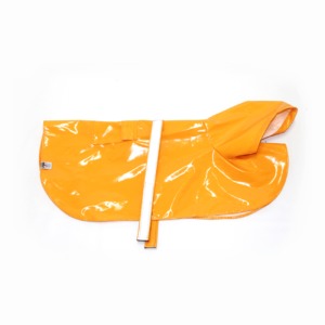 Raincoat - Image 2
