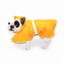 Raincoat