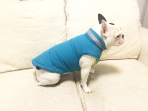 Sport Vest