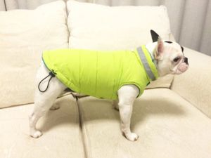 Sport Vest - Image 9
