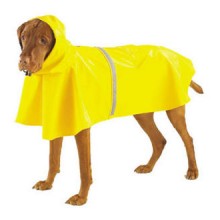 Big Raincoat